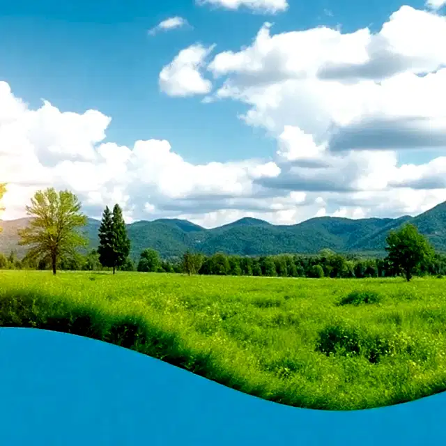 Çevre Danışmanlığı Çevre Danışmanlığı